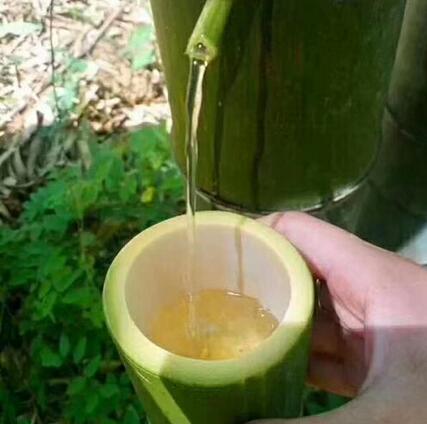 竹筒養生酒加盟代理